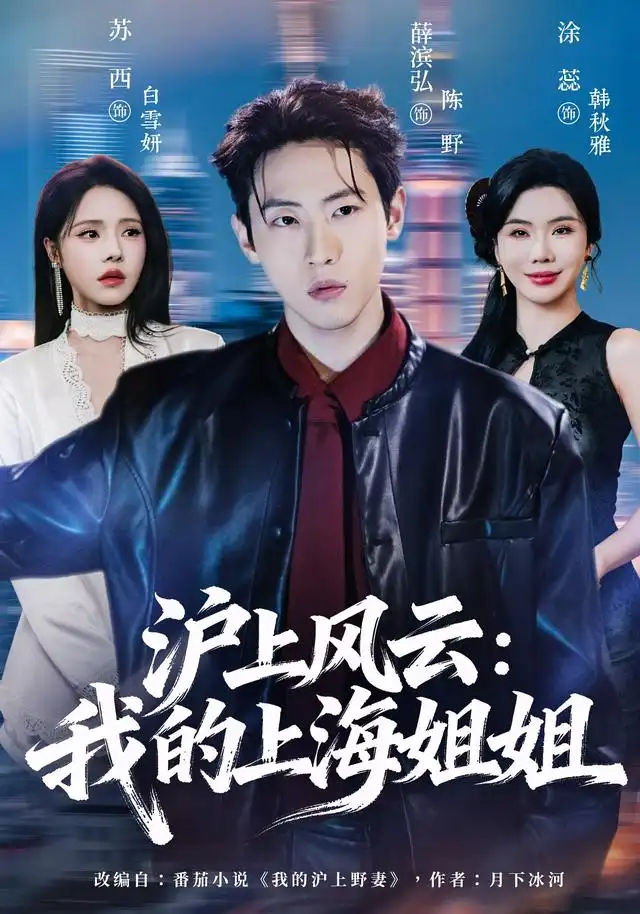沪上风云:我的上海姐姐海报
