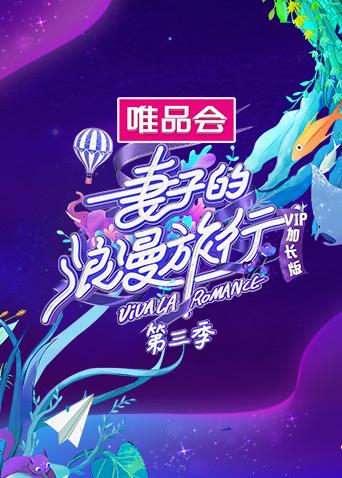 妻子的浪漫旅行3VIP海报