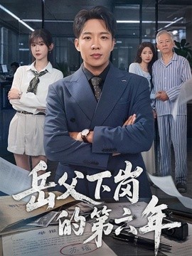 岳父下岗的第六年海报