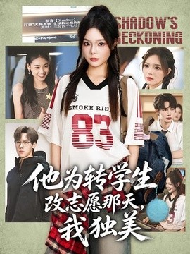 他为转学生改志愿那天,我独美海报