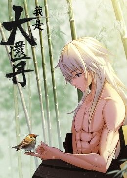 我是大还丹海报