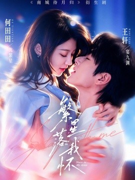 繁星落我怀海报