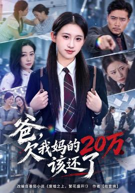 爸,欠我妈的20万该还了海报