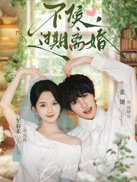 不候,过期离婚海报