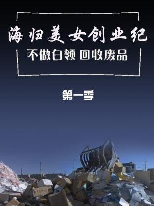 海归美女创业纪 不做白领回收废品海报