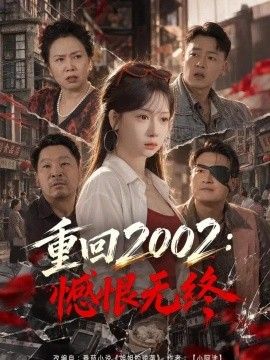 重回2002:憾恨无终海报