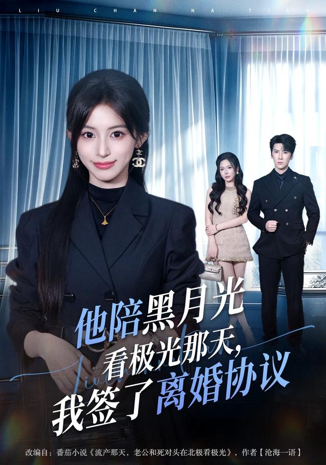 他陪黑月光看极光那天,我签了离婚协议海报
