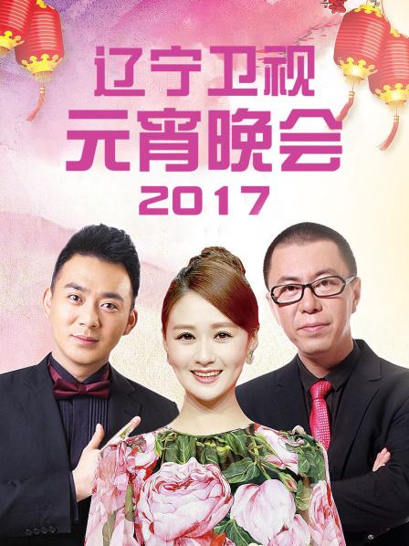 辽宁卫视元宵晚会海报
