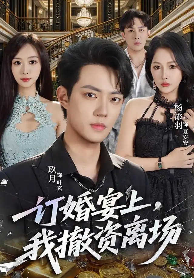 订婚宴上,我撤资离场海报