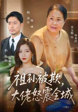 祖孙被欺,大佬怒震全城海报