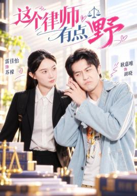 这个律师有点野海报