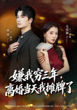 嫌我穷三年,离婚当天我摊牌了海报