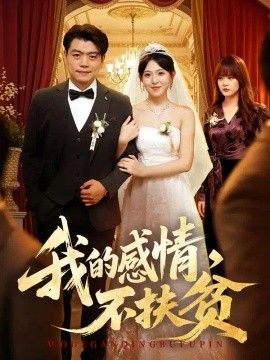 我的感情,不扶贫海报