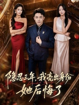 隐忍三年,我亮出身份她后悔了海报