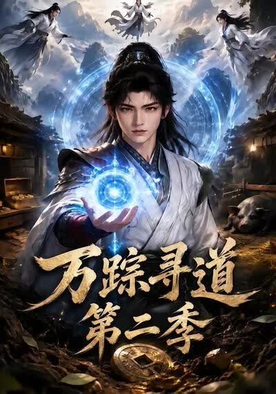 万踪寻道海报