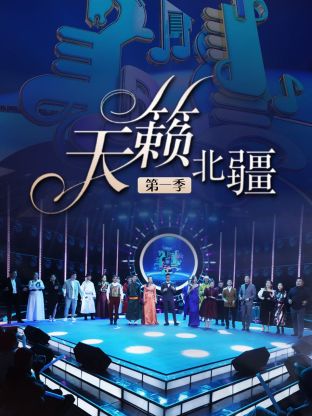 天籁北疆海报