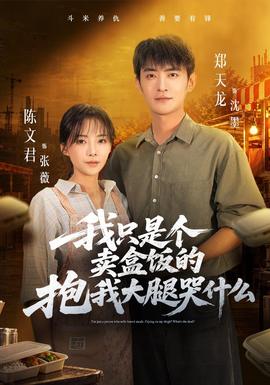 我只是个卖盒饭的抱我大腿哭什么海报