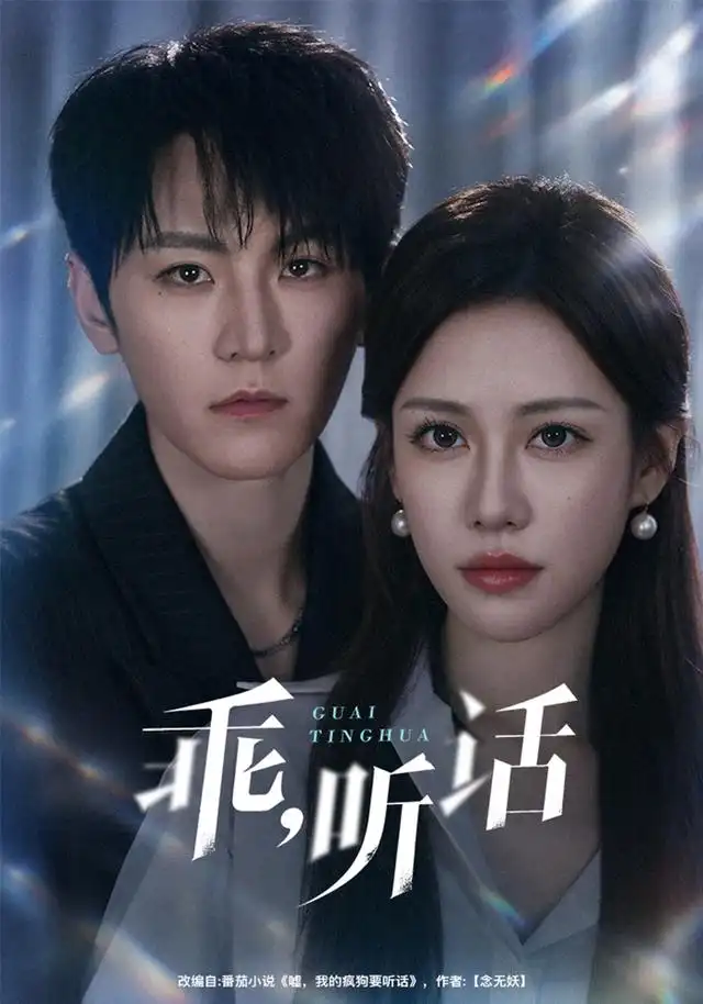 乖,听话海报