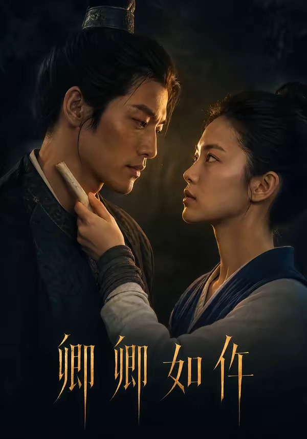 卿卿如仵海报