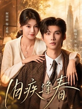 旧疾逢春海报