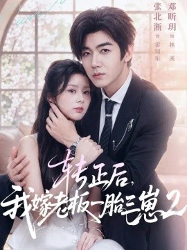 转正后，我嫁老板一胎三崽第二部海报