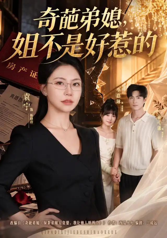 奇葩弟媳,姐不是好惹的海报