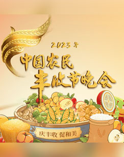 中国农民丰收节晚会海报