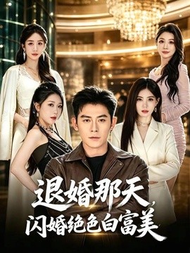 退婚那天,闪婚绝色白富美海报