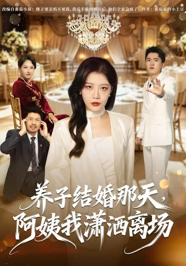 养子结婚那天,阿姨我潇洒离场海报