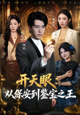 开天眼：从保安到鉴宝之王海报