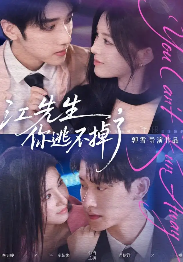 江先生，你逃不掉了海报