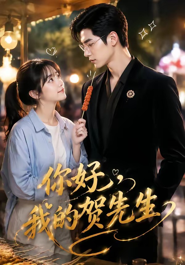 你好,我的贺先生海报
