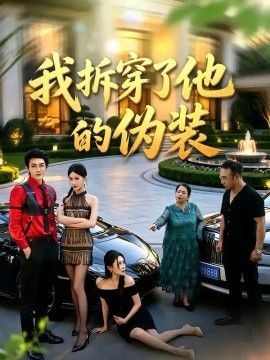 我拆穿了他的伪装海报