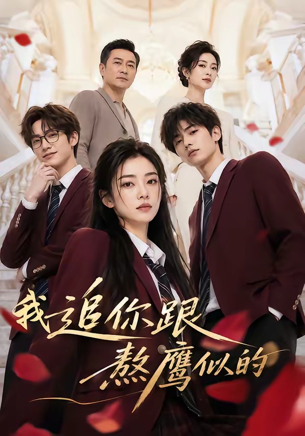 我追你跟熬鹰似的海报