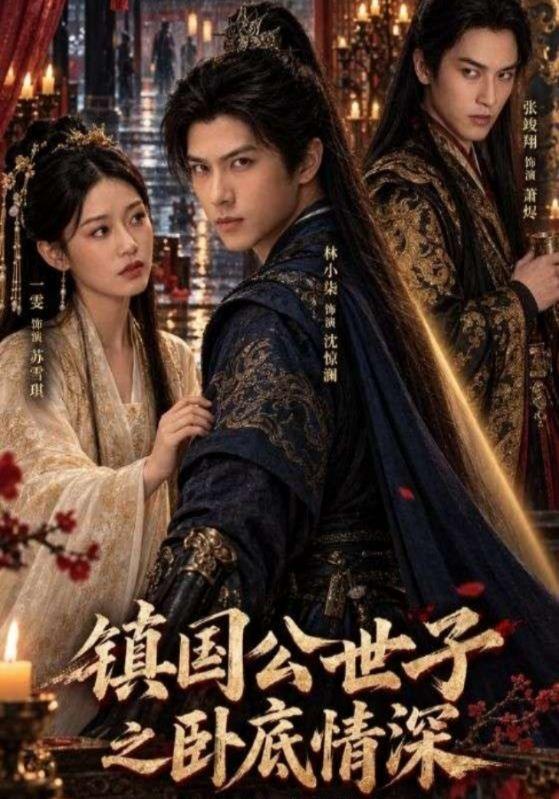镇国公世子之卧底情深海报