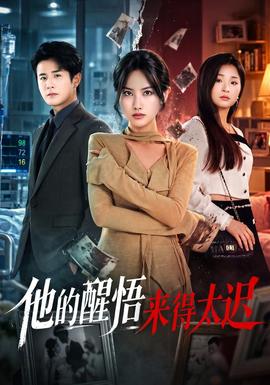 他的醒悟来得太迟海报