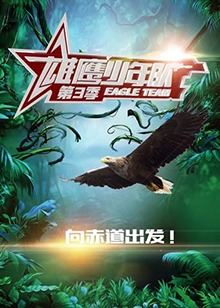 雄鹰少年队海报