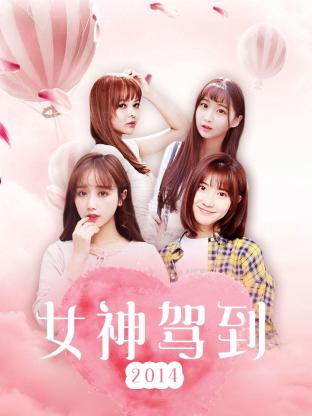 女神驾到海报