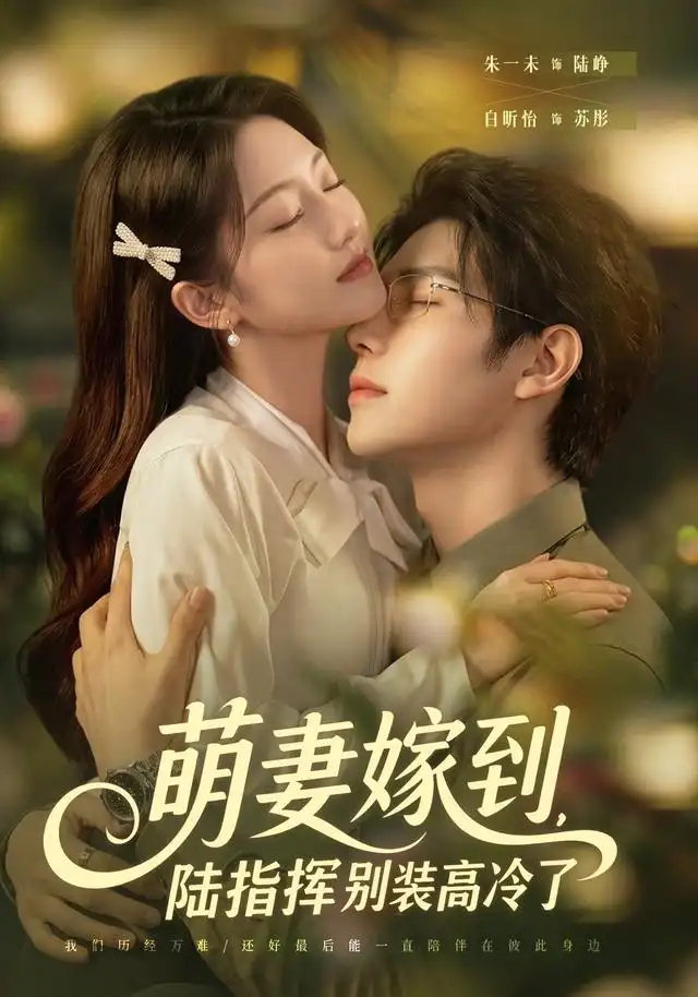 萌妻嫁到,陆指挥别装高冷了海报