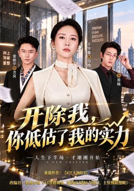 开除我,你低估了我的实力海报
