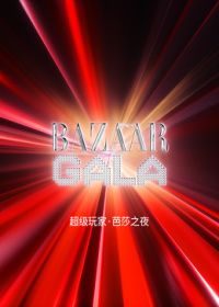 超级玩家芭莎之夜海报