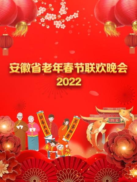 安徽省老年春节联欢晚会海报