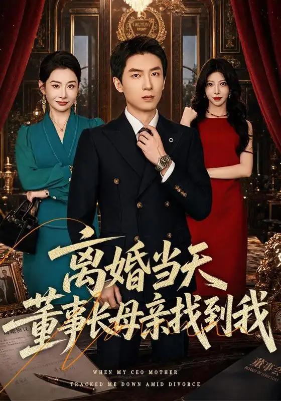离婚当天,董事长母亲找到我海报