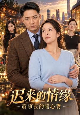 迟来的情缘,董事长的暖心妻海报