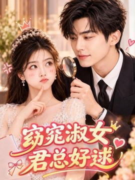 窈窕淑女,君总好逑海报