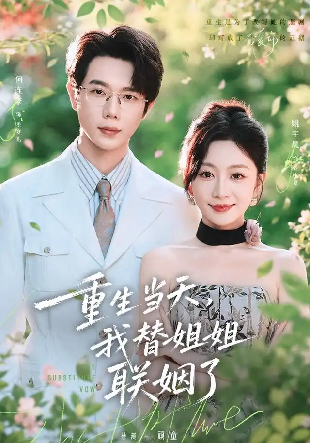 重生当天，我替姐姐联姻了海报