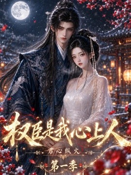 君心纵火权臣是我心上人海报