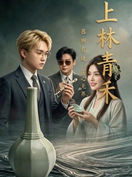 上林青禾海报