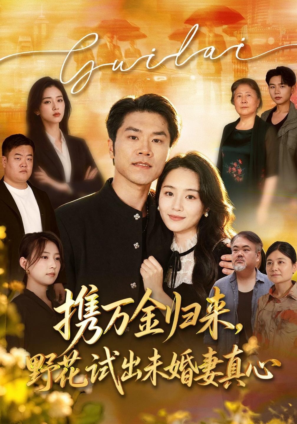 携万金归来,野花试出未婚妻真心海报