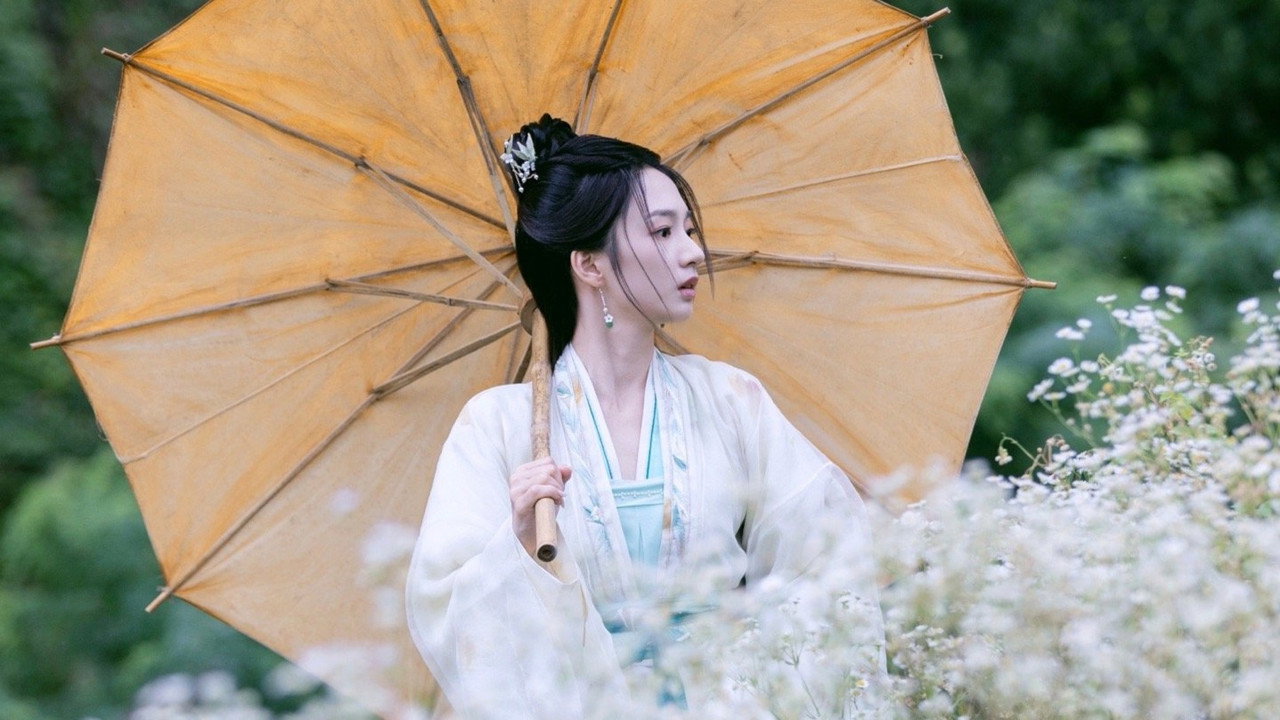 锁红颜剧照